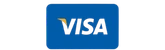 Visa pay Logo